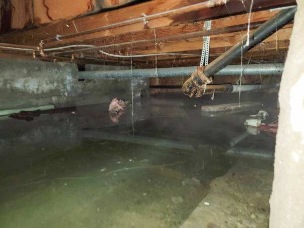 Best Residential water damage restoration  in Duluth, WA