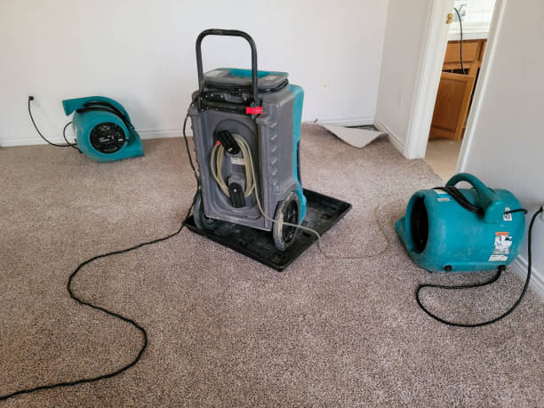 Best Flood damage cleanup  in Duluth, WA