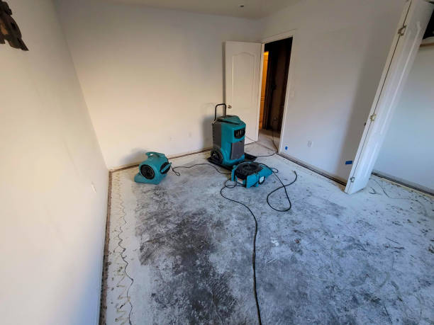 Best Ceiling water damage repair  in Duluth, WA
