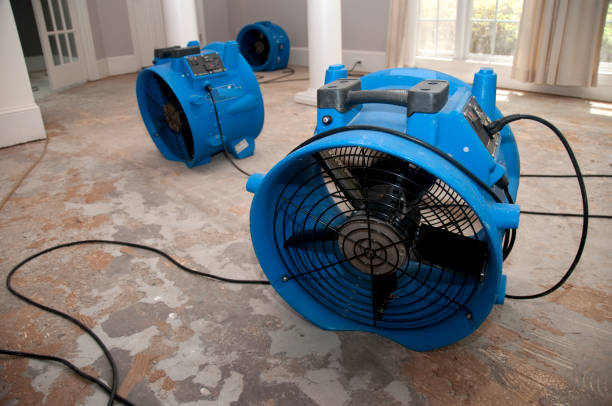 Best 24-hour water damage restoration  in Duluth, WA