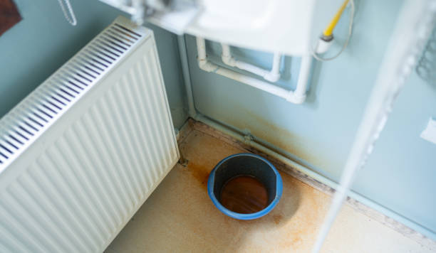 Best Water damage contractors near me  in Duluth, WA