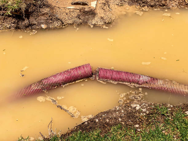 Best Carpet water damage restoration  in Duluth, WA