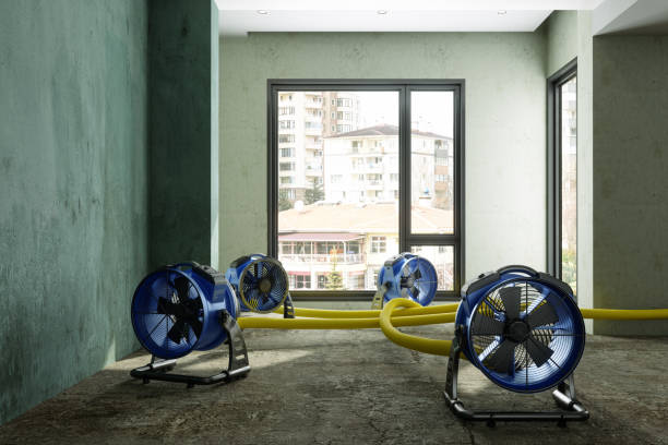 Best Professional water damage repair  in Duluth, WA
