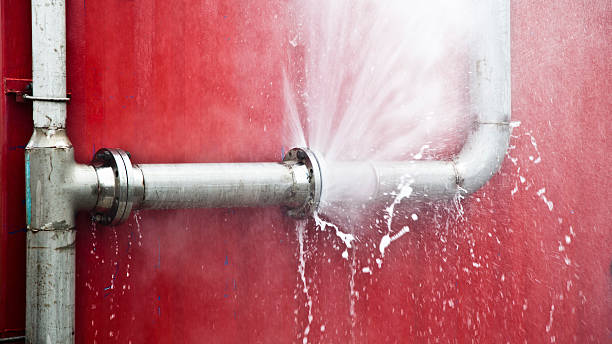 Best Flooded house restoration  in Duluth, WA