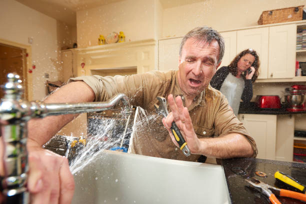 Best Flood damage cleanup  in Duluth, WA